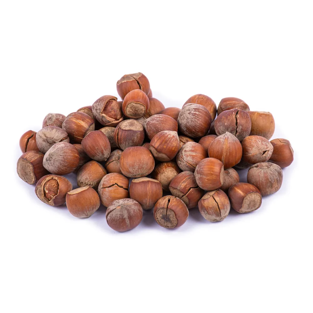 promotion-categories