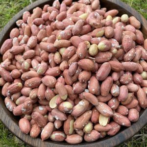 بادام زمینی محلی آستانه