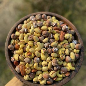 آجیل چهار مغز ممتاز