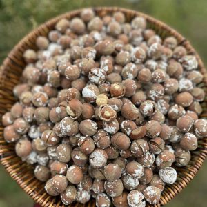 فندق برشته (بوداده) نمکی